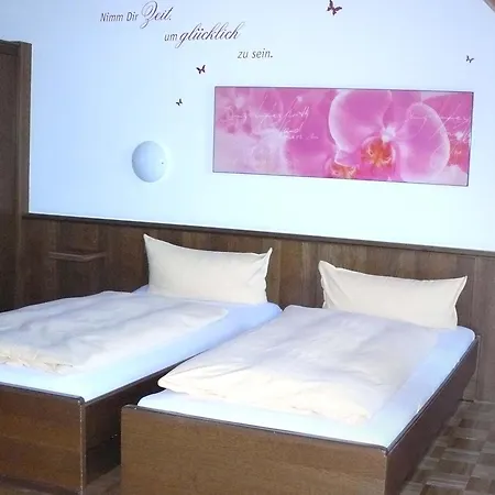 Hotel Hotel-restaurant Zur Kanne
